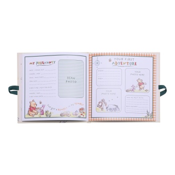 Disney Winnie the Pooh My First Moments and Memories Baby Record Book