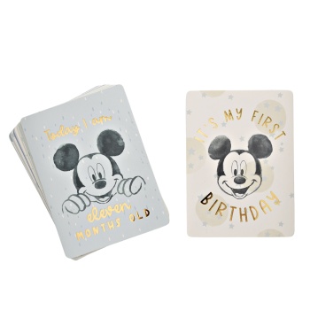 Disney Mickey Mouse Baby Set of 24 Milestone Cards