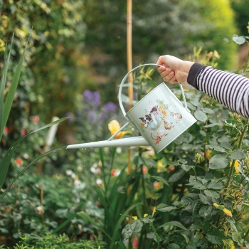 Wrendale Designs Sleeping On The Job Border Collie Watering Can