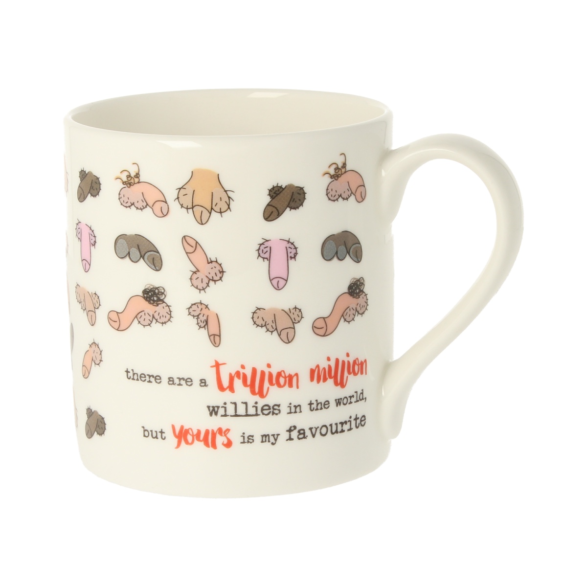 Dandelion A Trillion Million Willies Novelty Gift Mug